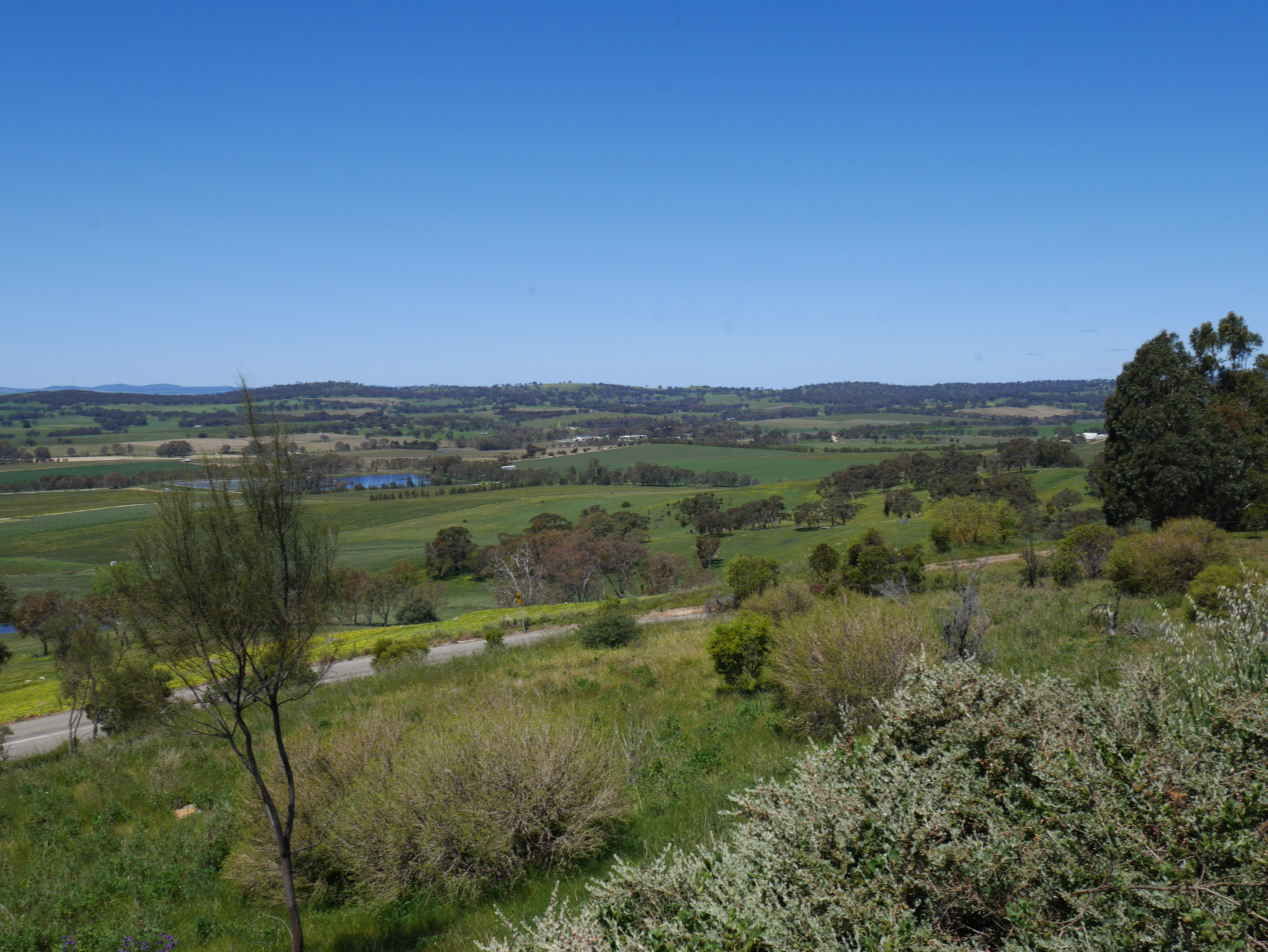 Clare Valley